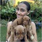 Maestra con más de 5 años de experiencia. Manejó de inglés avanzado 