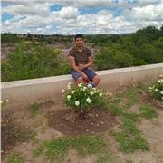enseño para nivel universitario y secundario