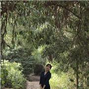 Clases de matemática para todos los niveles: educación básica, media, PAES y universitaria