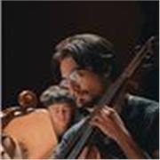 Clases de violoncello online o presenciales