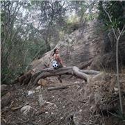 Dibujante en practicas y e trabajado en comedores ecolares como monitoria de comedor.