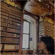 Studentessa universitaria, diplomata al liceo classico, offro supporto in grammatica e letteratura italiana e analisi del testo 