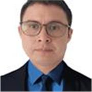 Docente en línea con experiencia en diversas áreas y dominio de TIC