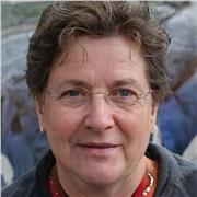 Jörg Meier