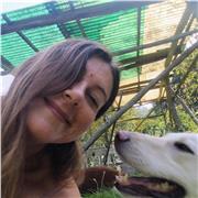 Insegnante di scuola primaria con esperienza, attestati Erickson homework tutor, si offre come aiuto compiti bambini dsa adhd