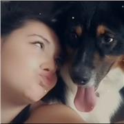 Professeur d'art, j'enseigne aussi le français, la philosophie et je peu faire du soutiens également