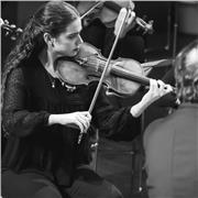 Formación de violín personalizada: principiantes, avanzados y acceso a superior