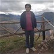 Profesor de matemáticas en general, todo nivel