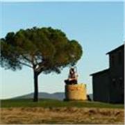 Laureato in Lingue e Letterature moderne offre lezioni e ripetizioni a domicilio (Genova) ed online