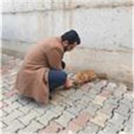 Vedat