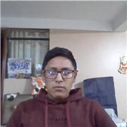 profesor de matematicas de primaria y segundaria completa