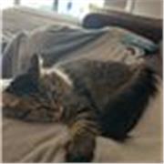 Profesora de inglés para niños pequeños