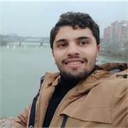 Tengo un alto nivel (doctorado) en matemáticas y doy todo tipo de cursos de matemáticas pero solo en inglés y francés.