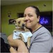 Docente en las materia de ciencias química, física y tecnología