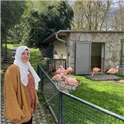 Computer Tutor, die hilft leute , mit dem Laptop umzugehen