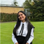 Native English tutor with 3 years' experience offering private lessons for young people.