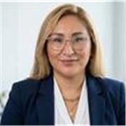 Profesor de quimica de primaria secundaria y Preuniversitaria y asesoro proyectos de curso