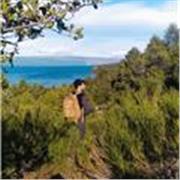 Tutor de Inglés y Español se ofrece para acompañamiento académico/personal en modalidad remota