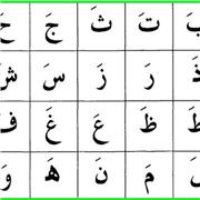 مدرس في اللغة العربية والدراسات الإسلامية
