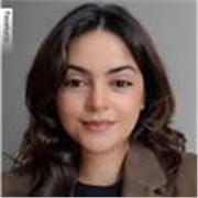 Profesionales ingeniería con pasión por enseñar matemáticas para niños y adultos