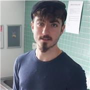 Profesor Bilingüe de francés ofrece cursos