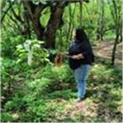 Profesor de apoyo escolar en clase para niños de forma virtual en Ciencias Ambientales