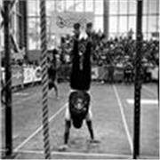 Entrenamientos funcionales, de alta intensidad, fortalecimiento y musculación