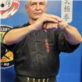 Profesor y maestro de taichi chikung y kungfu chino