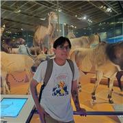 Maestro de preparatoria o universidad de áreas exactas