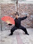 Docente en instituto profesional de masoterapia, Qigong y Taijiquan