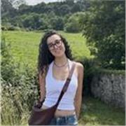 Estudiante de Derecho y ADE con excelente expediente ofrece clases particulares de Primaria, ESO y Bachillerato en Sevilla. 