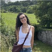 Estudiante de Derecho y ADE con excelente expediente ofrece clases particulares de Primaria, ESO y Bachillerato en Sevilla.