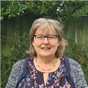 English Tutor for Adult Students - IELTS, Business, Conversation, Public Speaking or Interviews