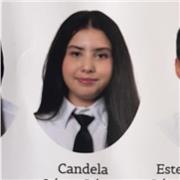 Repaso para todos los cursos de primaria y todas las asignaturas.