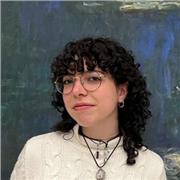Studentessa in Ingegneria Informatica offre doposcuola per le medie e lezioni di matematica, fisica e informatica per le superiori