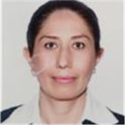 Docente a nivel licenciatura y maestría en el área de Administración, Recursos Humanos, Comportamiento económico de los negocios y Ética