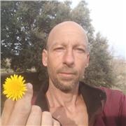 Profesor de programación para todos los niveles