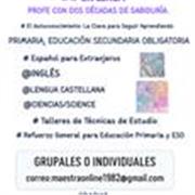 Lengua, inglés, técnicas de estudio. Profesora con más de 20 años de experiencia y licenciada en psicopedagogía