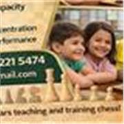 Profesor experto en la enseñanza del ajedrez para el desarrollo intelectual y/o deportivo