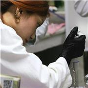 Asesorías de biología con enfoque claro y sencillo (Biología molecular, celular, genética y más...)