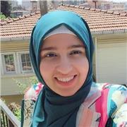 Qualifizierte Englisch-Nachhilfe für Schüler und Erwachsene: Von Hausaufgaben bis Business-Englisch