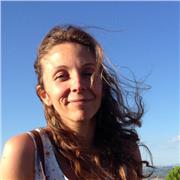 Ripetizioni di matematica e scienze per le scuole medie