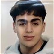 Studente di liceo scientifico aiuta in matematica (medie e superiori)