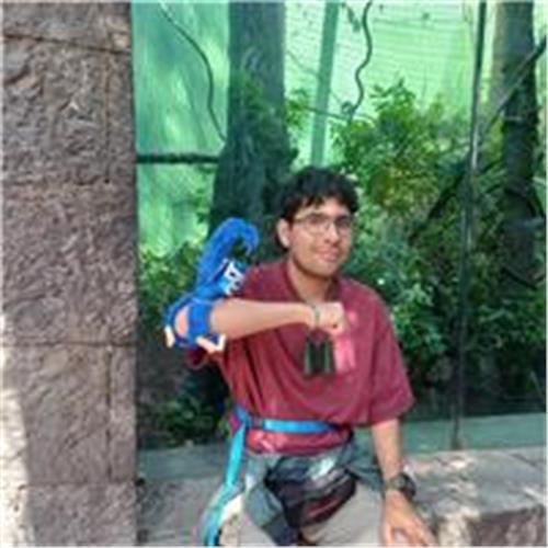 user photo
