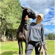 Profesora de inglés para principiantes y alumnos avanzados. Inglés para profesionales