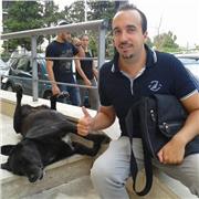 Insegno Psicologia agli studenti dei licei e agli studenti universitari