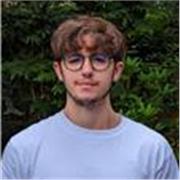 Economics, History and Politics tutor providing lessons for all at A-level and GCSE