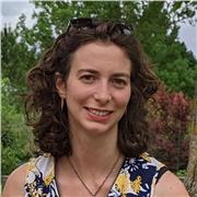 Aide à l'apprentissage des fondamentaux du primaire et collège