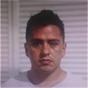Profesor para clases y/o regularizaciones de Inglés, Filosofía e Historia