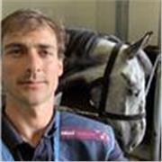 Doy clases de portugués, soy brasileño, de río de enero. Vivo en barcelona hace un año. Ya fue instructor en otras áreas, me gustaría trabajar en Barcelona dando clases de portugués